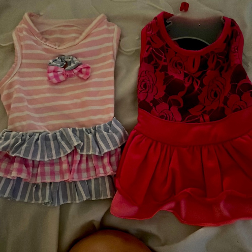 2 - dog dresses size small pink & Hot pink dresses one with lace & roses